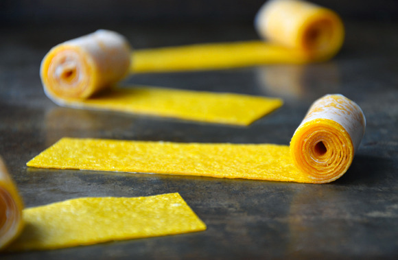 Healthy Homemade Mango Fruit Roll-ups Tutorial (with video)