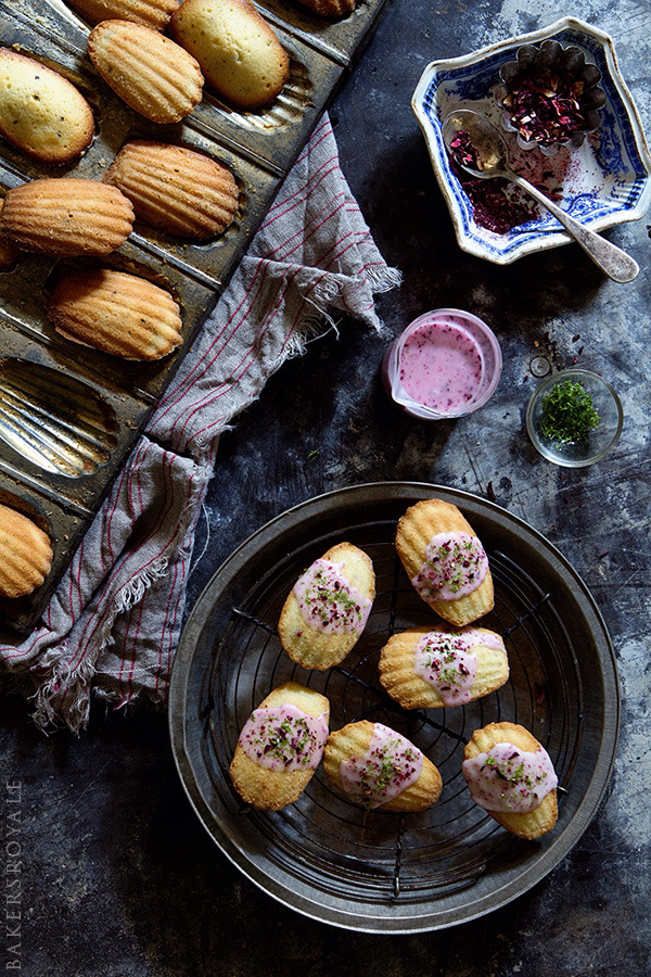 Lime and Hibiscus Madeleines