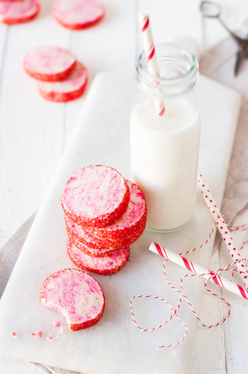 Peppermint Meltaway Icebox Cookies The Kitchen Mccabe